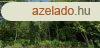 Eszterglyhorvtiban erd elad