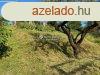 Elad hz, Zalaegerszeg
