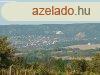 Elad zrtkerti telek Fehrvrcsurgn