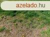Gyenesdison csendes helyen telek elad