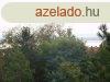 Vonyarcvashegyen erd melletti telek elad