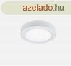 LED panel kr alak, 24W 2700K 300X35