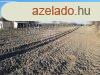 Elad telek Kisbr, 	j szl u.