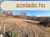 Elad telek Sukor, 	Panorms telek