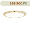 DADA 30 sllyesztett lmpa aranysrga 230V LED 24W 3000K