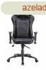 Tesoro Zone Speed Gaming Chair Black
