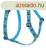 Lupine Roman hm (Turtle Reef 2,5 cm szles 51-81 cm)