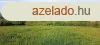 Cserszegtomajon panorms ptsi telek elad