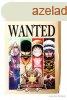 One Piece - Wanted jelleg anime francia krtya
