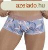 Clever boxerals Arcane Latin, S