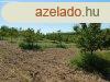 BEPTHET Gymlcss Elad Znkn! - Znka