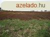 Elad zrtkerti telek Igalban, amely aszfaltos trl megkze