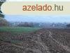 Elad zrtkerti telek Igalban a ftvonal kzelben!