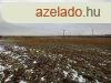 Szolnok kzelben lv 2,6 HA -os tanya elad, M4-es t mell