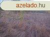 Tiszapspkiben dlvezeti holtgi vzparti zrtkerti tele