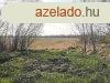 Szolnokon jszszi ton elad 8717 m2-es telekterlet