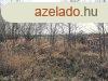 Szolnokon jszszi ton elad 8717 m2-es telekterlet