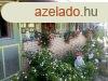 Elad rszben feljtott csaldi hz Pusztakovcsiban!