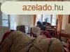 Elad 70 nm-es Feljtand Csaldi hz Tiszavasvri