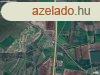 szntfld | gyep, fs terlet - Szeged
