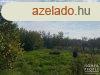 Elad zrt kert Hdmezvsrhelyen!