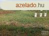 Elad telek Szeged-Szentmihly!