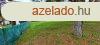 Szntdon a rvhez kzel telek elad