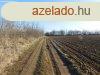 Klterleti sznt elad Balatonendrden