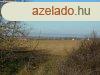 Klterleti sznt elad Balatonendrden