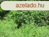 Nagycsepelyen keskeny telek elad!