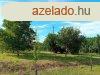 Tabon j llapot pince gondozott zrtkertben elad