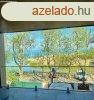 Sifok Aranypart Prmium laks