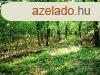Telepls kzelben - elad ERD ZNKN - Znka