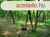 Telepls kzelben - elad ERD ZNKN - Znka