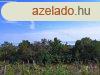 Panorms terlet - elad MEZGAZDASGI TERLET BALATONFRED