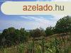 Panorms terlet - elad MEZGAZDASGI TERLET BALATONFRED