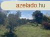 Zamrdi faluban elad paraszthz