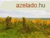 Drgicsei zrtkerti ingatlan meseszp panormval- elad D