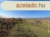 Elad zrtkert Hregen, a Bikarti dlben