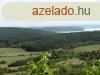 Balaton Pazar Ltvnya -Erdvel krl lelt terlet... - Vs