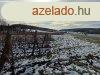 Kivl krnyezetben -elad GAZDASGI PLET BALATONCSICSN -