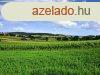 Falu melletti terlet - elad ZRTKERT SZENTJAKABFN - Szent