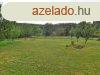 Kzmves ptsi telek az erd alatt, csods panormval - V