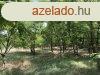 Nagy terlet elad