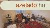 Alkalmi ron, kivl llapot csaldi hz 1686 m2-es telken 