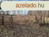 Kesztlc, 4166 m2, 29900000 HUF [2005_3298]