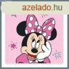 Disney Minnie 30x30cm trlkz BRM016132