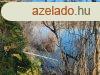 Szolnokon a Kertvrosban kzvetlen vzparti ikerhzrsz elad