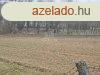 Elad csaldi hz Bezerd, 	Csaldi hz csods krnyezetben!