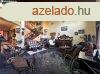 Elad 250 nm-es Feljtott Csaldi hz Pogny